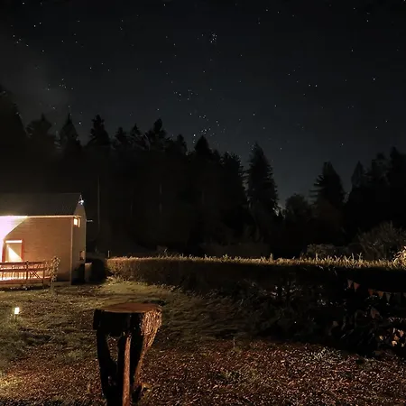 Tinyhouse Wald-fritzl Vakantiehuis