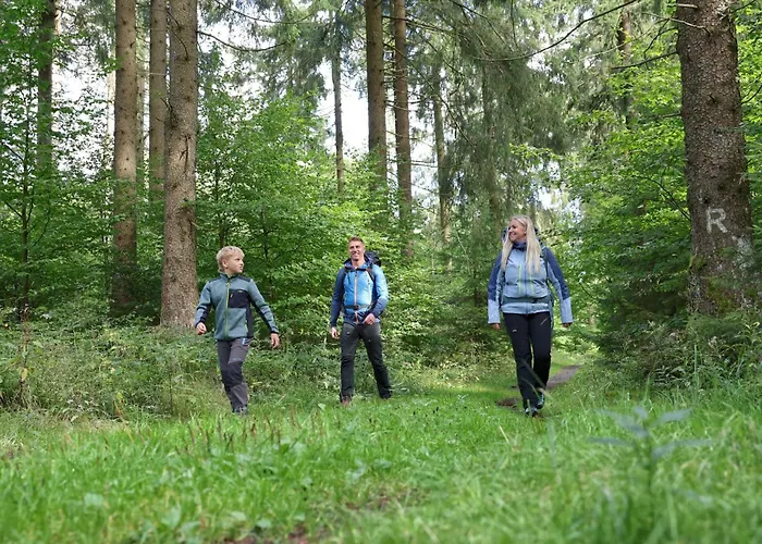 Tinyhouse Wald-fritzl * 일메나우